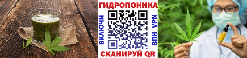 где найти   Новомосковск  Cannafood конопля 