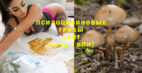 кокаин Горнозаводск