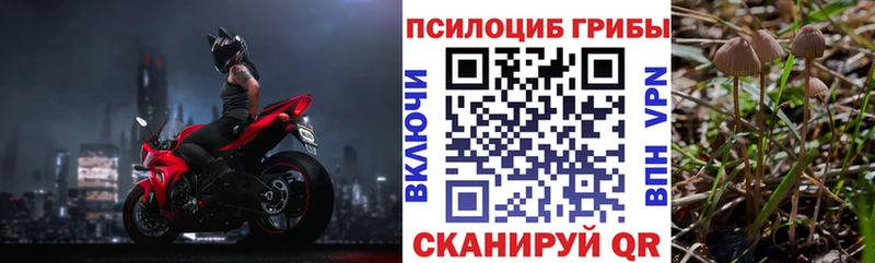 Галлюциногенные грибы GOLDEN TEACHER  Новомосковск 